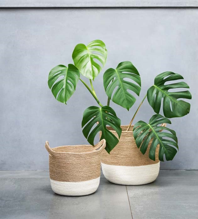 Gelio White Jute Lined Basket