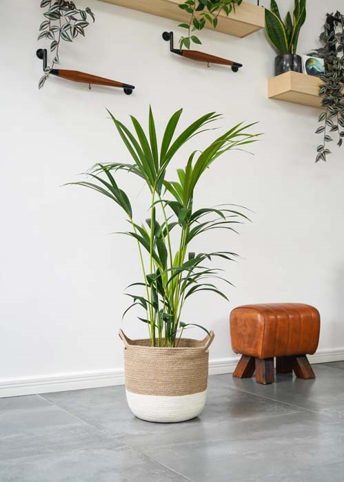 Gelio White Jute Lined Basket