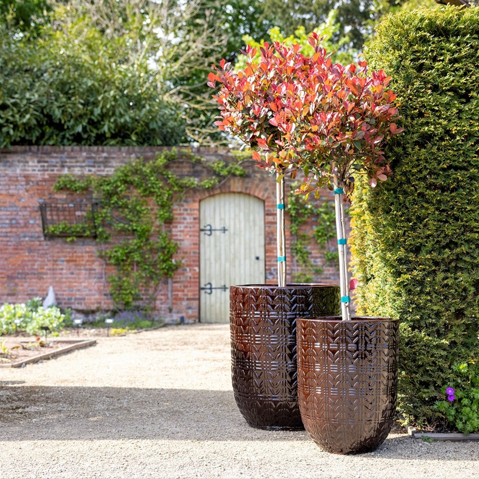 Terracotta Planters