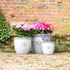 Cream Stoneware Fleur-De-Lis Round Planter