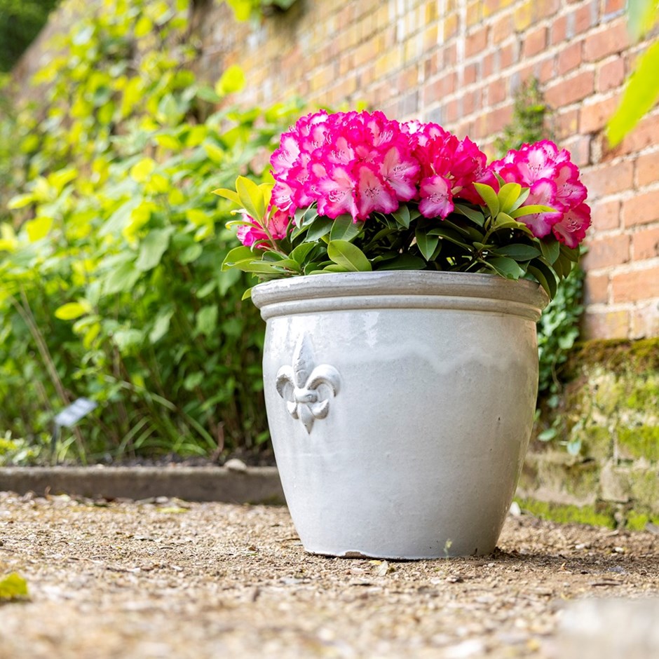 Cream Stoneware Fleur-De-Lis Round Planter