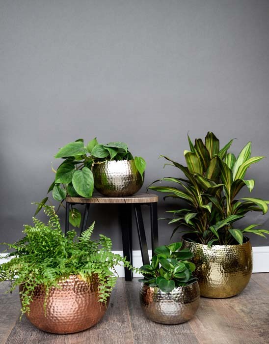 Copper Hammered Bowl