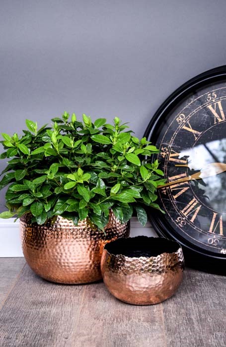 Copper Hammered Bowl