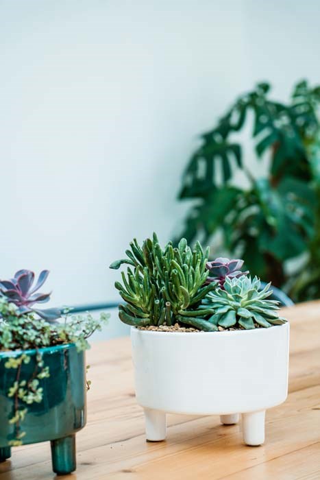 White Ceramic Round Bowl Planter With Feet