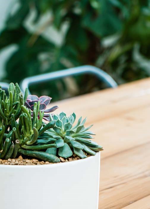 White Ceramic Round Bowl Planter With Feet
