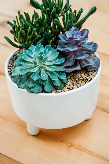 White Ceramic Round Bowl Planter With Feet