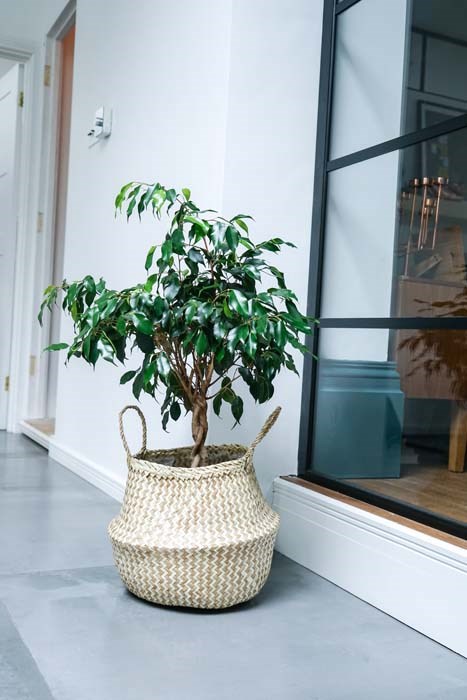 35cm Seagrass Chevron White Lined Planter Basket
