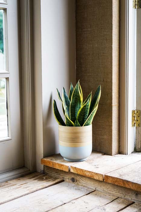 Grey Bamboo Planter