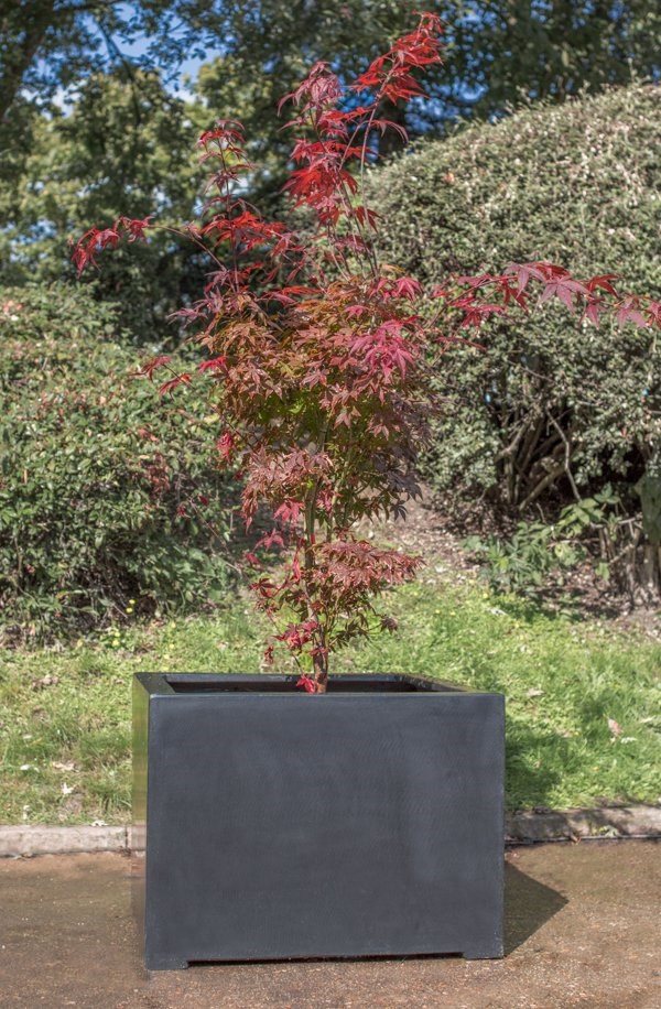 Titanic Black Polystone Square Planter