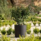 Black Tall Round Planter