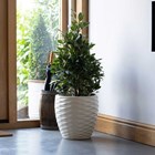 34cm Bilbao Ivory Round Planter