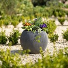 Grey Ribbed Round Bowl Planter