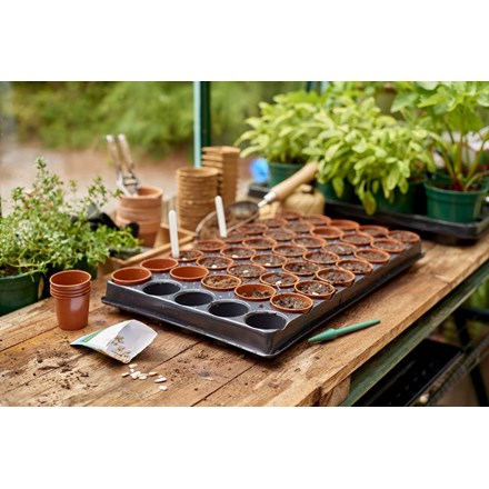 Seed and Cutting Tray with 40 Pots