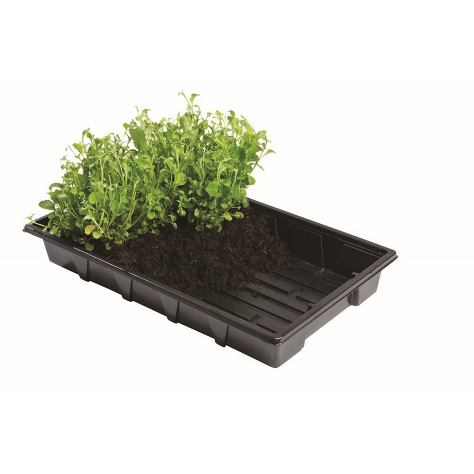 Professional Gravel Tray - 5 Pack