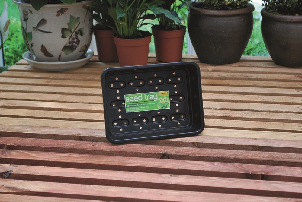 Small Aerated Black Seed Tray