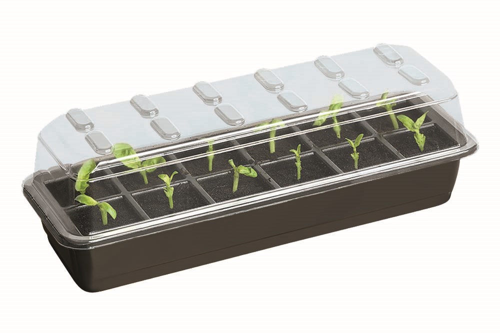 12 Cell Seed Starter Set