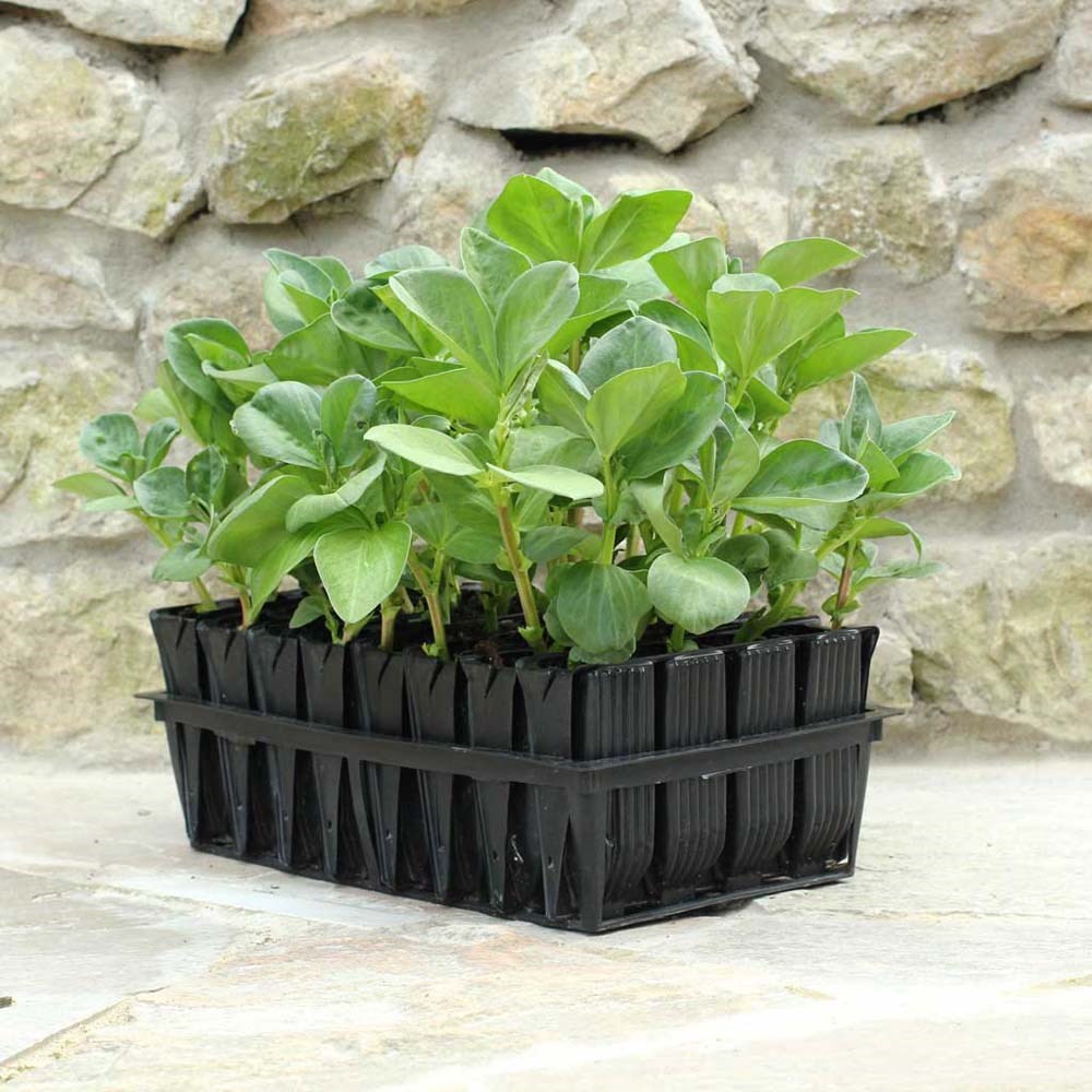 Deep Root Trainers Planter Seed Tray