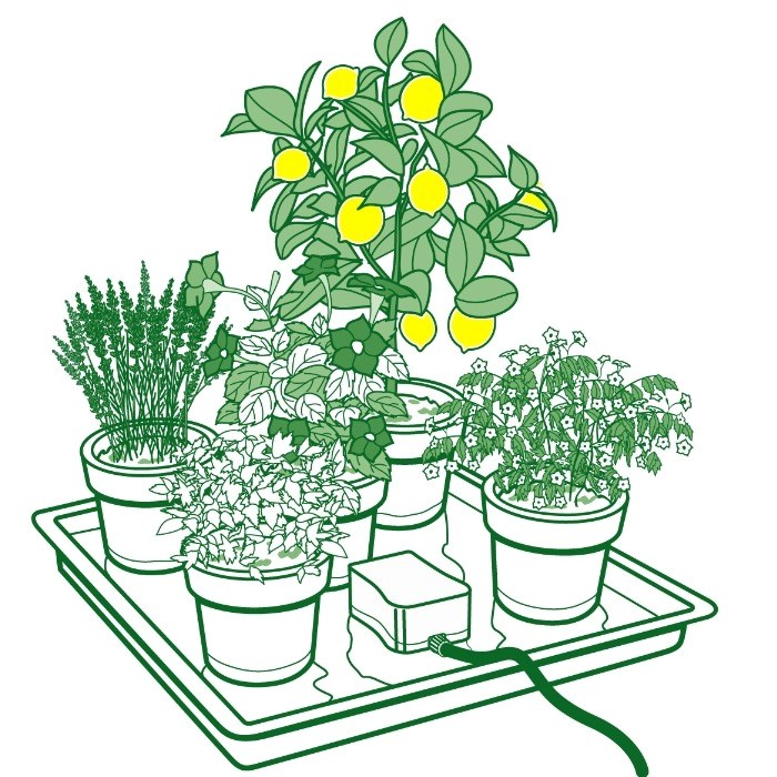 Easy2Go Self Watering Kit
