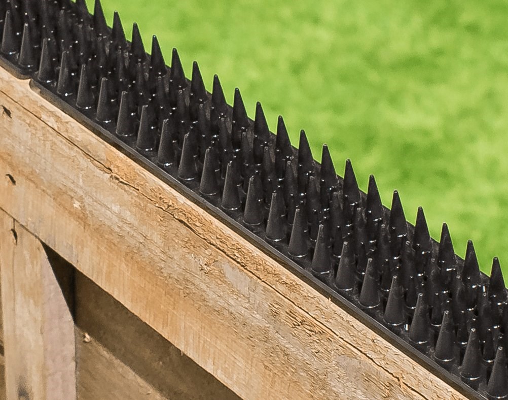 PestBye Cat Repellent Fence & Wall Spikes