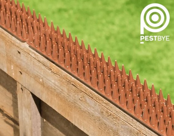 PestBye Cat Repellent Fence & Wall Spikes