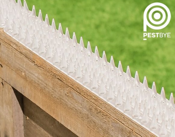 PestBye Cat Repellent Fence & Wall Spikes