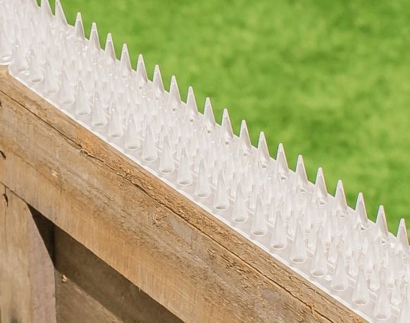 PestBye Cat Repellent Fence & Wall Spikes