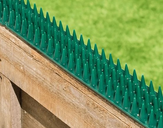 Cat deterrent fence spikes 2025