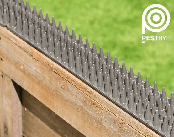 Cat deterrent fence spikes shop