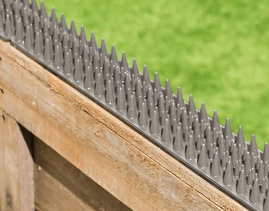 PestBye Cat Repellent Fence & Wall Spikes