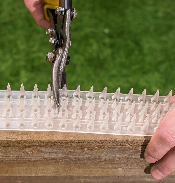 PestBye Cat Repellent Fence & Wall Spikes