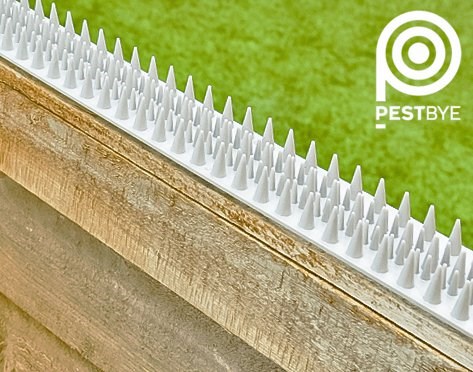 PestBye Cat Repellent Fence & Wall Spikes