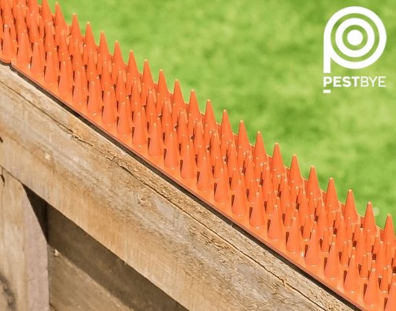 PestBye Cat Repellent Fence & Wall Spikes