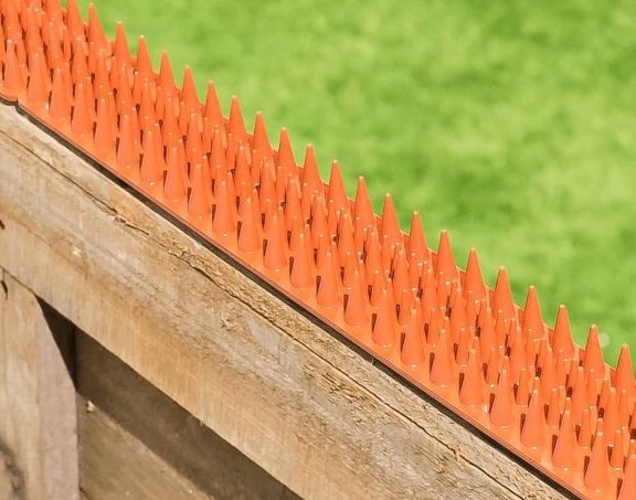 PestBye Cat Repellent Fence & Wall Spikes