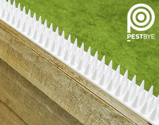 PestBye Cat Repellent Fence & Wall Spikes
