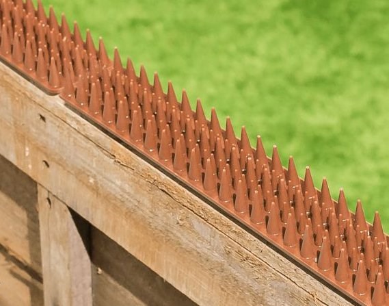 Fence and Wall Spikes - Black - Cat Repellent Security Spikes by PestBye®