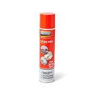 Bed Bug Killer Aerosol (300Ml)
