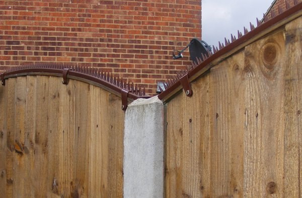 Featherboard Fence Spikes Cat & Bird Deterrent