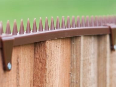 Featherboard Fence Spikes Cat & Bird Deterrent