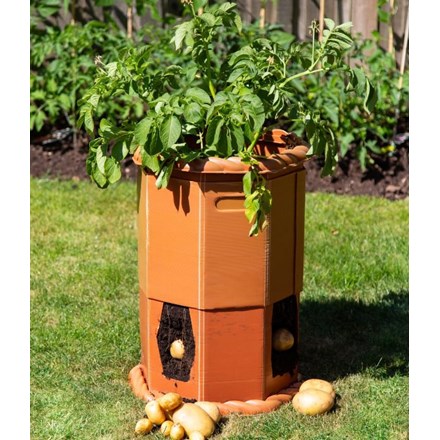 Victorian Potato Barrel - H60cm x D43cm