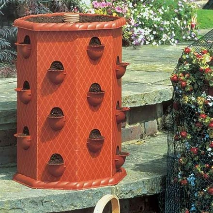 Strawberry Fruit Planter Barrel