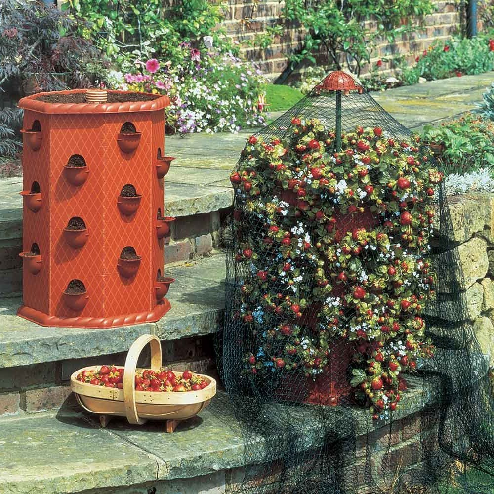 Strawberry Fruit Planter Barrel