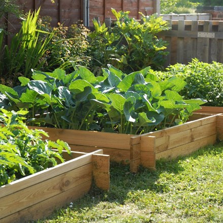 200 Litres - The Chamberlain Wooden Raised Grow Bed | Lacewing™ - 100cm² (H20cm)