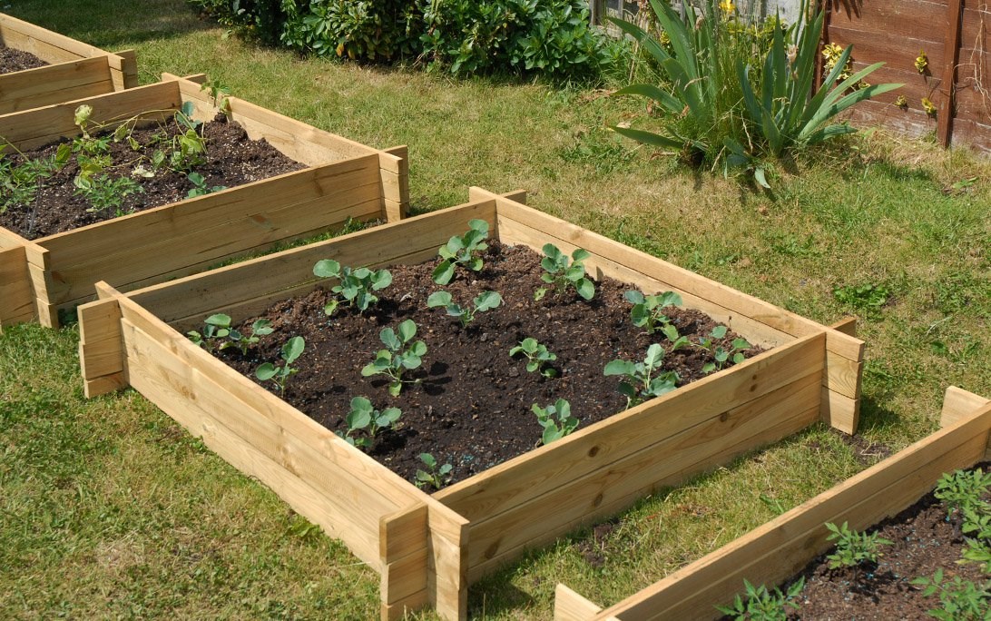 The Chamberlain Wooden Raised Grow Bed | 200 litres | Lacewing™
