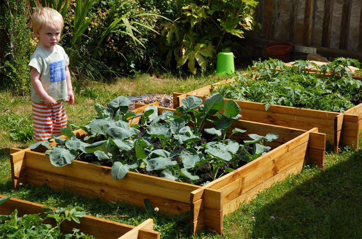 The Chamberlain Wooden Raised Grow Bed | 200 litres | Lacewing™