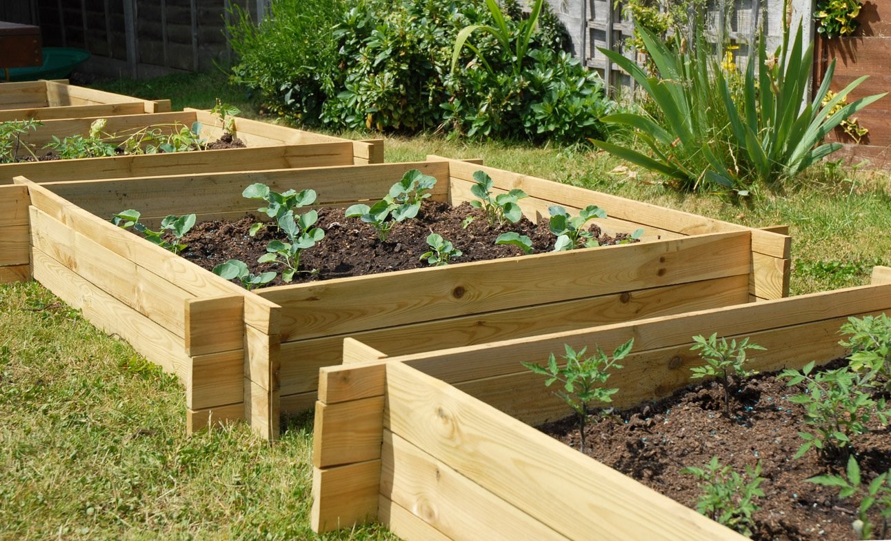 The Chamberlain Wooden Raised Grow Bed | 270 litres | Lacewing™