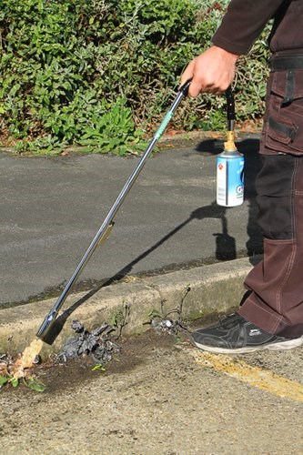 Propane shop weed burner