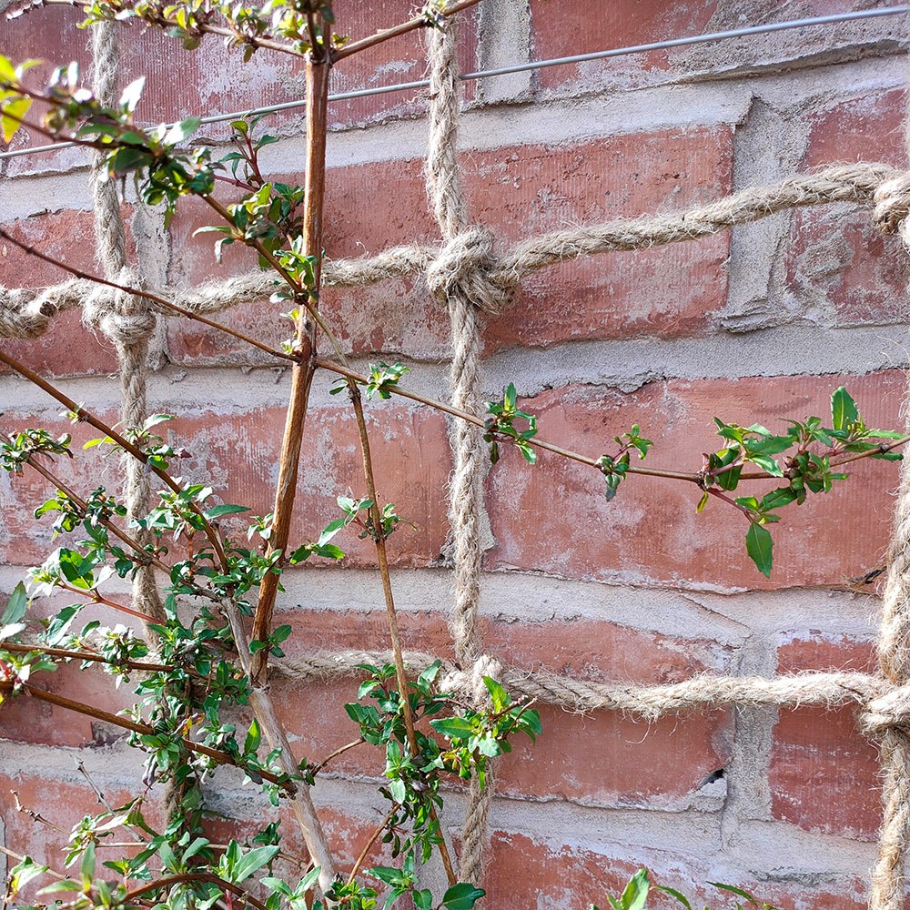 Rope Garden Wall Hang Trellis 
