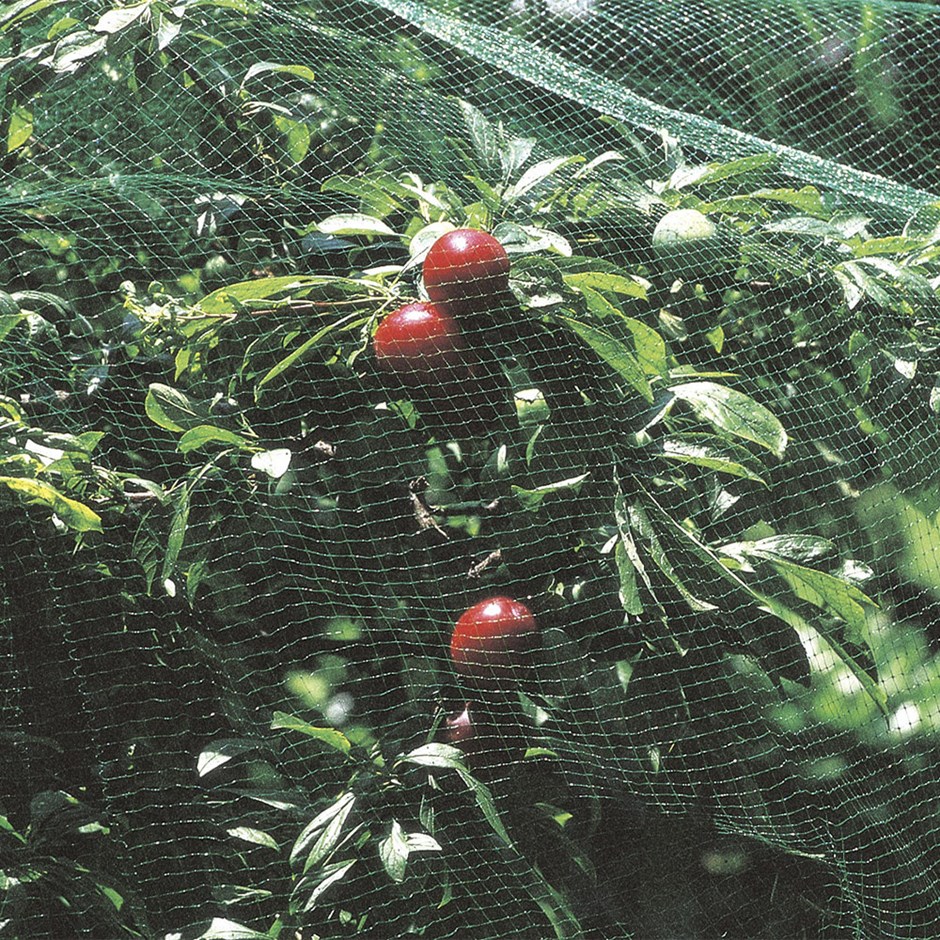 Plant Protection Net 8M X 2M 