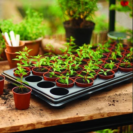 40-Cell Seed and Cutting Tray | Starter Pots for Seedlings & Cuttings