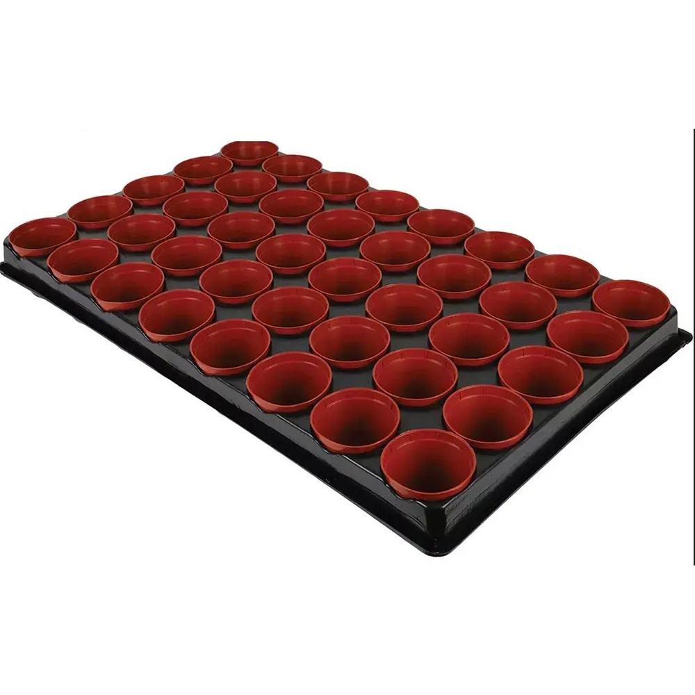 40-Cell Seed and Cutting Tray | Starter Pots for Seedlings & Cuttings